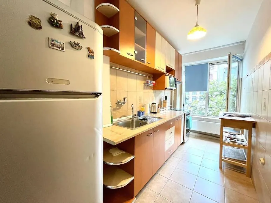 Cozy 1 Bedroom Flat, Ultracentral, Free Wifi Bukurešť