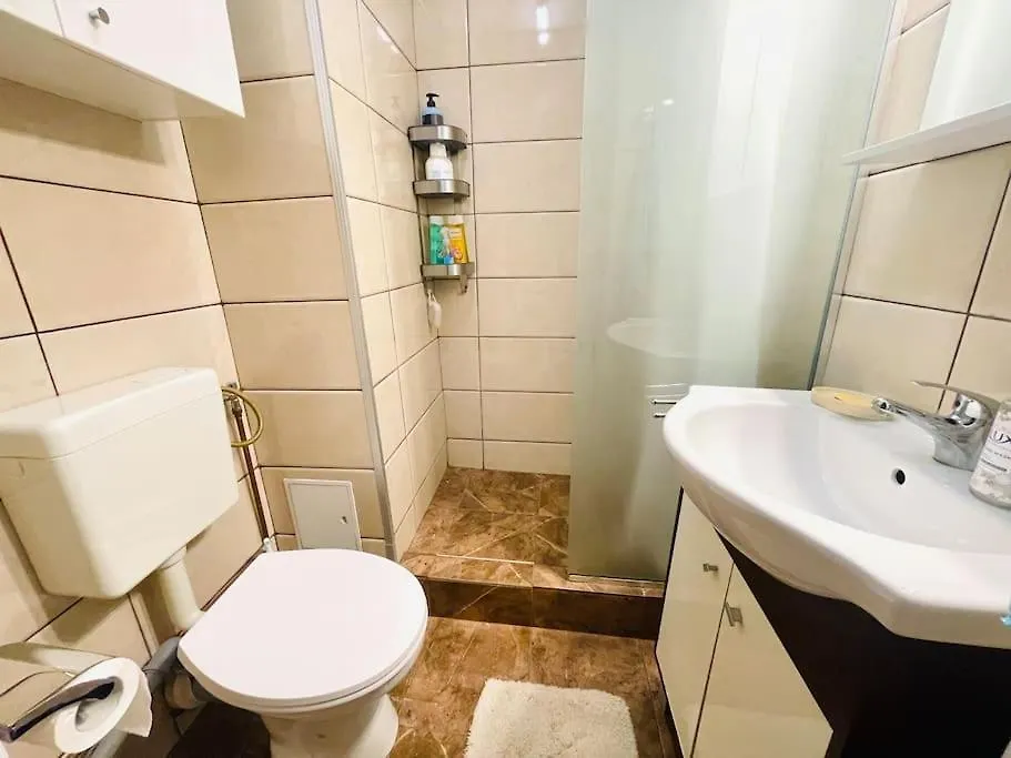 Cozy 1 Bedroom Flat, Ultracentral, Free Wifi Bucharest Apartment