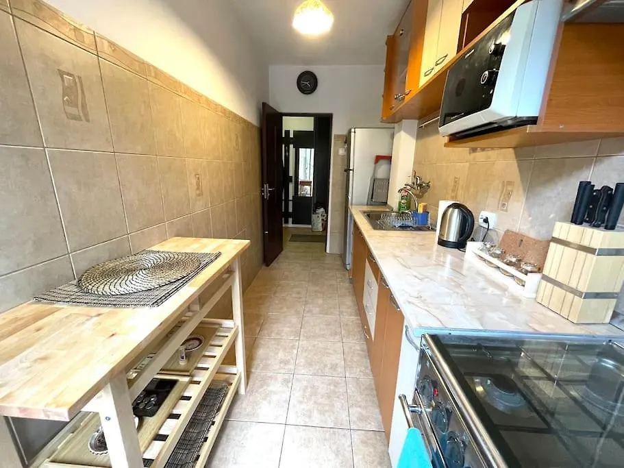 Apartment Cozy 1 Bedroom Flat, Ultracentral, Free Wifi Bucharest