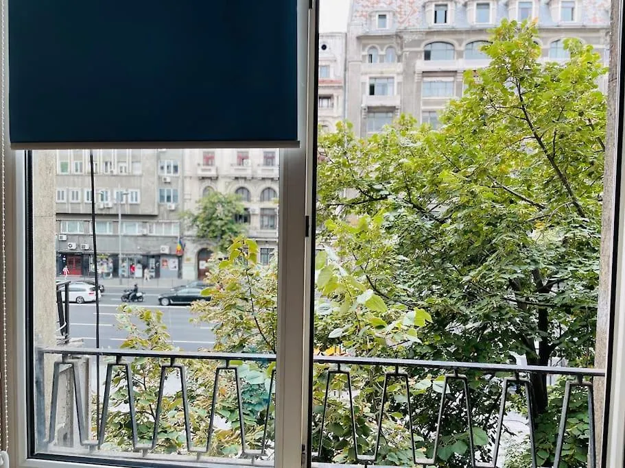 Cozy 1 Bedroom Flat, Ultracentral, Free Wifi Bucharest 0*,  Romania