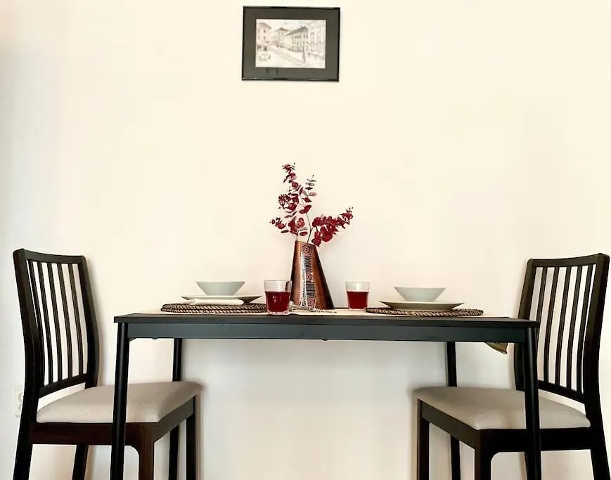Cozy 1 Bedroom Flat, Ultracentral, Free Wifi Bucharest Apartment