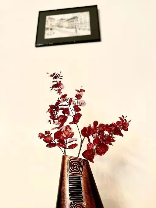 Cozy 1 Bedroom Flat, Ultracentral, Free Wifi Bucharest